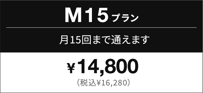 M15プラン（レッスン回数：15回/月）