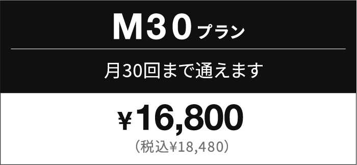 M30プラン（レッスン回数：30回/月）
